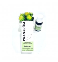 ACEITE ESENCIAL RAVITNTSARA 10ML.