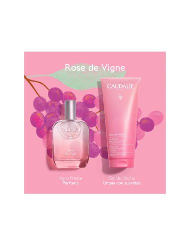 COFRE ROSE DES VIGNES 50ML XMAS 2026